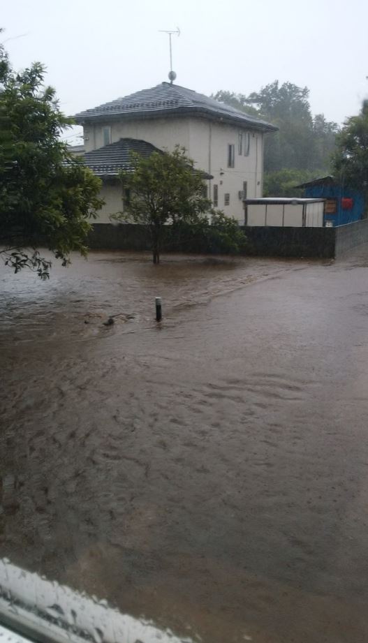 台風